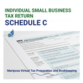 Individual Small Business Tax Return - Schedule C